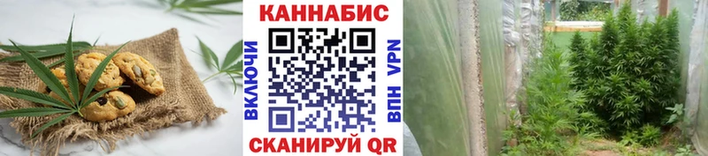 хочу наркоту  Вичуга  Еда ТГК марихуана 