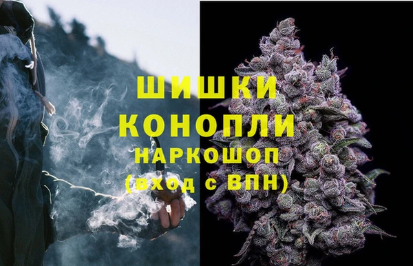 крисы Волосово