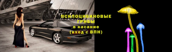 ешки Верхний Тагил