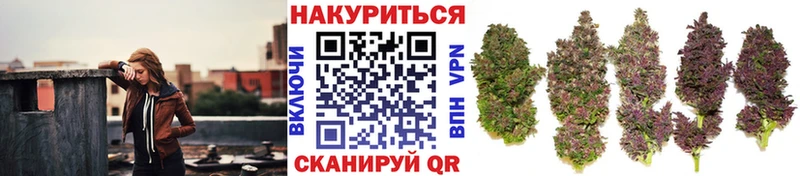 МАРИХУАНА Bruce Banner  наркота  Вичуга 
